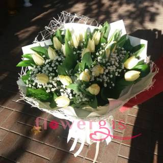 Весенняя мелодия